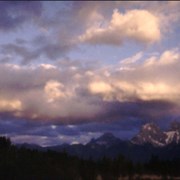 Cover image of Bow Valley Scenes