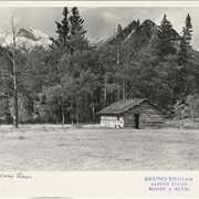 Cover image of Old Cabins