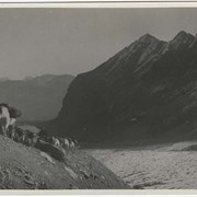 Cover image of Construction of Abbott Pass Hut