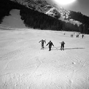 Cover image of Norquay, Cocky, Bud & Barb. -- [1946]