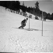 Cover image of Norquay Ski Action. -- 1946