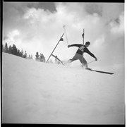 Cover image of Ella Mae Ski Shots. -- 1946