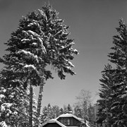 Cover image of Snow Scene, Mr. L.S. Crosby's House  . -- [ca. 1950]