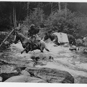 Cover image of F.H. Riggall and packhourse crossing Boundary Creek