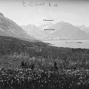 Cover image of [Waterton Lakes Park]