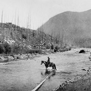 Cover image of [Guests on saddle horses crossing river]
