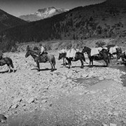 Cover image of Going up Pass Creek