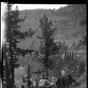 Cover image of [Horse on trail near Wall Lake]
