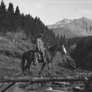 Cover image of [Rider and horse crossing creek on log]