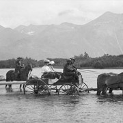 Cover image of [Group in wagon in deep water]