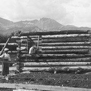 Cover image of [Bert and Fanny Riggall working on log home]