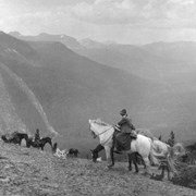 Cover image of Mrs. F.H.Riggall on 'Fox' on trail to Big Horn Pass
