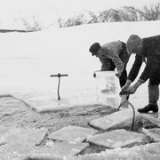 Cover image of [Men Cutting Ice]