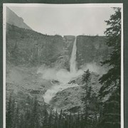 Cover image of "Twin Falls"