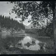 Cover image of In the Bow Valley near Banff. -- [ca.1940]
