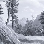 Cover image of Spray River Valley. -- [ca.1944]