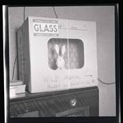 Cover image of E-5. Rabbit in the box, personal gag, photo used in Whyte biographic book