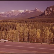 Cover image of Z-668. President Range along Trans-Canada Highway west of Field BC