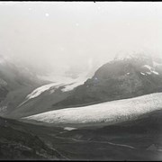 Cover image of Glass negatives