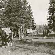 Cover image of Trail riding, hunting and scenic photographs