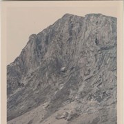 Cover image of Prints