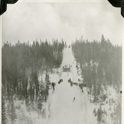 Cover image of [Ski jump]