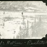 Cover image of [Nels Nelson, Revelstoke, ski jumping]