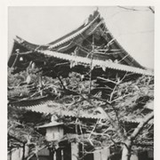 Cover image of Temple at Nikko, Japan