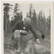 Cover image of Johnson Canyon - Herbert Brenon took necktie off and put around porcupine but it didn't shed quills - taken by P.W. 1924