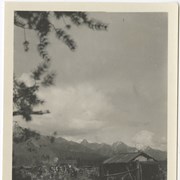 Cover image of The Alaskan Movie Set - Castle Mt 1924