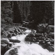 Cover image of Stream