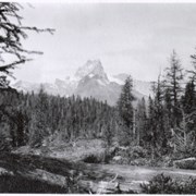 Cover image of Cathedral Mountain