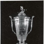 Cover image of Trophy