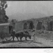 Cover image of Bull-drawn wagon