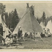 Cover image of 529. Stoney Indian Camp
