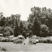 Cover image of Robb family home garden