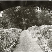 Cover image of Robb family home garden