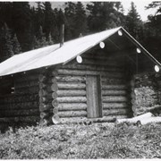 Cover image of Log cabin
