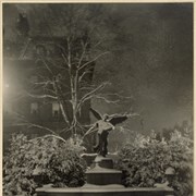Cover image of Statue