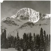 Cover image of Pika Peak