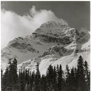 Cover image of Pika Peak