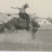 Cover image of Rodeo