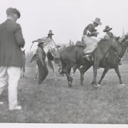 Cover image of Horse Race