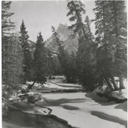 Cover image of Rundle Mountain