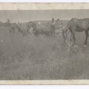 Cover image of Horses and wagon