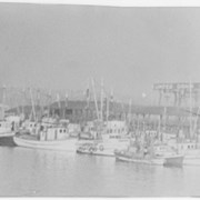 Cover image of [Harbour with moored boats]