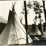 Cover image of [Three tipis at Banff Indian Grounds, Banff Indian Days]