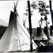 Cover image of [Three tipis at Banff Indian Grounds, Banff Indian Days]