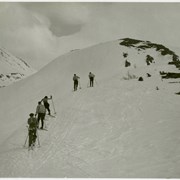 Cover image of [Five unidentified skiers climbing up slope, Skoki area]