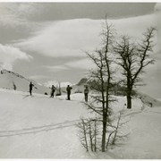 Cover image of [Four unidentified skiers, Skoki area]